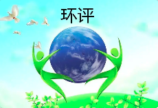 環(huán)境影響評(píng)價(jià)文件涉及弄虛作假等行為的，需要承擔(dān)哪些后果？